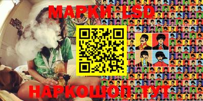 индика Заволжье