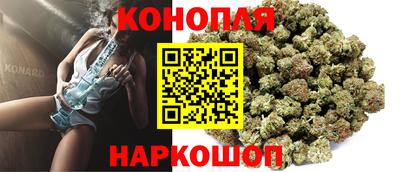 индика Заволжье