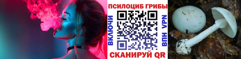 закладки  Ухта  Псилоцибиновые грибы ЛСД 