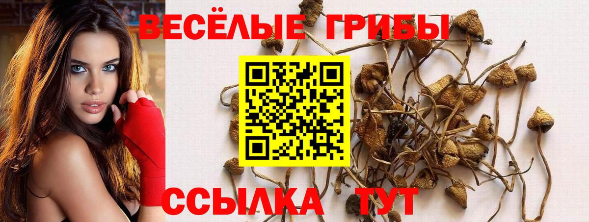 Псилоцибиновые грибы ЛСД Ухта