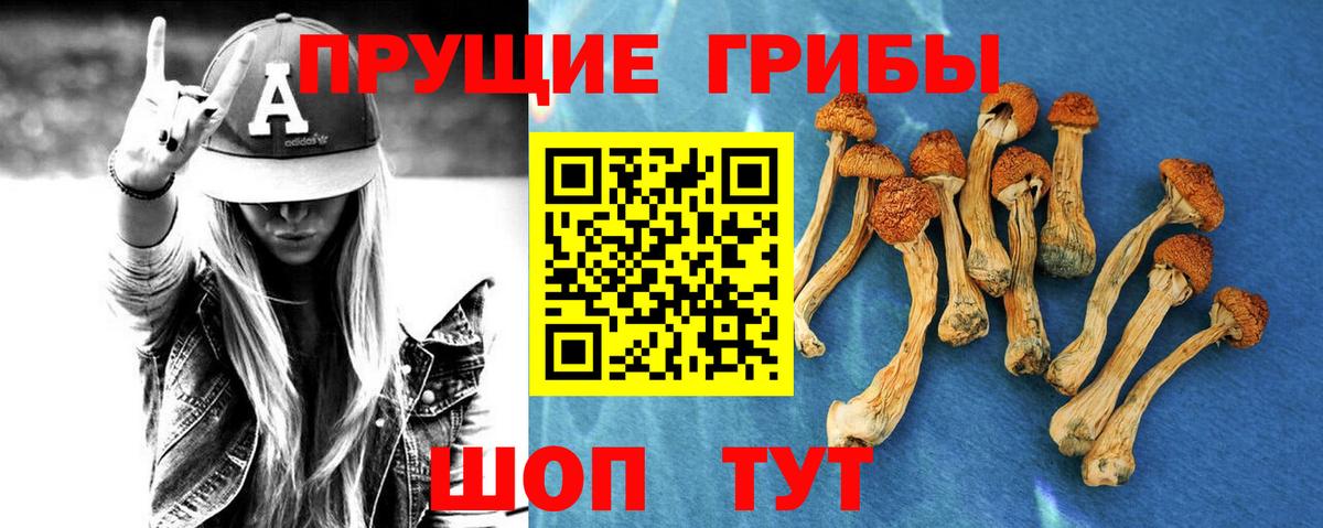 Ухта  Галлюциногенные грибы GOLDEN TEACHER  Вход с VPN 